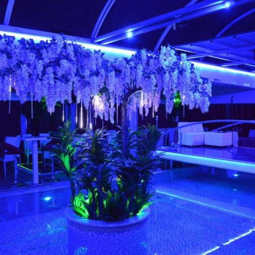 Dream On Club — erotic venue in Ceglie Messapica