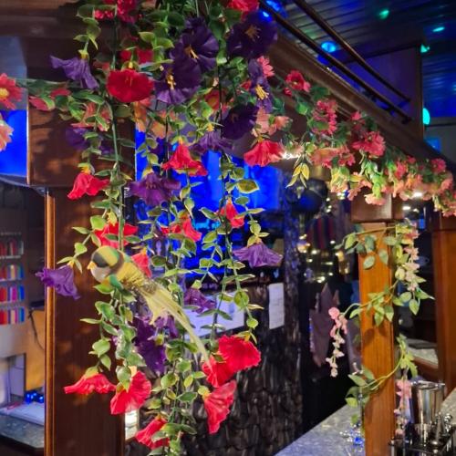 Papillon Sauna — erotic venue in Vienna