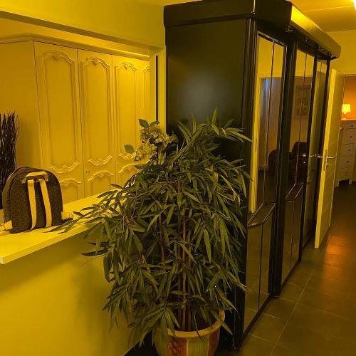 Studio 70 — erotisk utested i Emmen, bilde 9