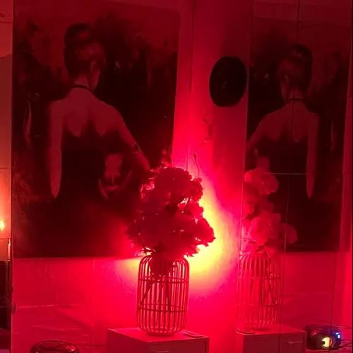 Diamond Thai Massage — erotic venue in Rotterdam, photo 2