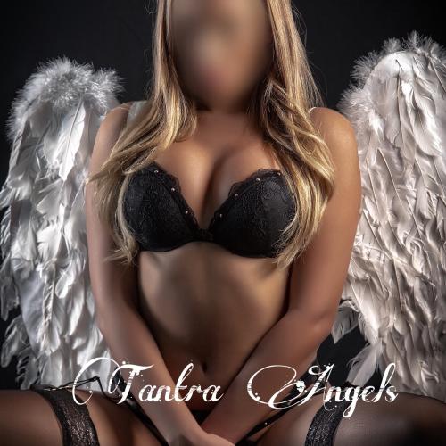 Tantra Angels — erotický podnik v meste Bratislava