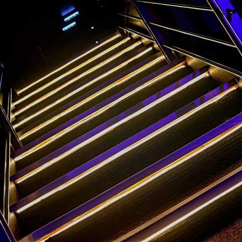 Blue Velvet — erotic venue in Newcastle upon Tyne