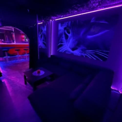 Cats 2.0 — Erotik-Location in München
