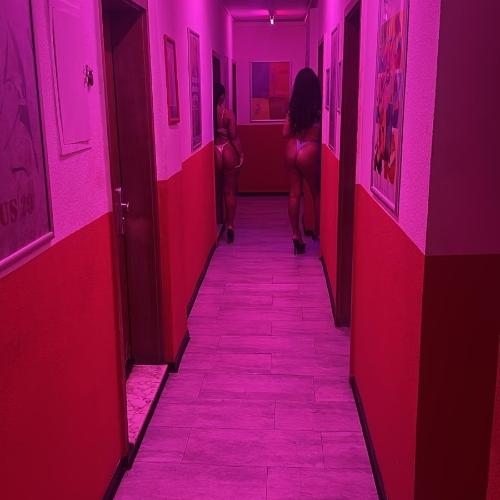 Haus 29 — erotic venue in Frankfurt, photo 2