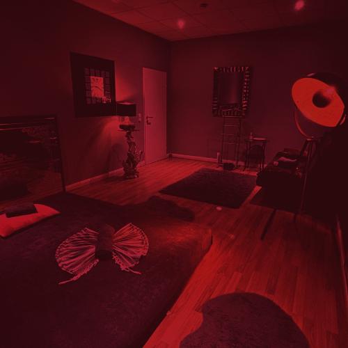 Velvet Massage — erotic venue in Frankfurt, photo 8