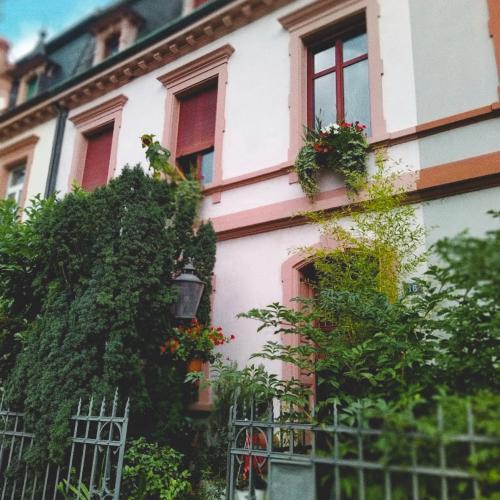Villa O. Eden — erotický podnik v meste Bazilej