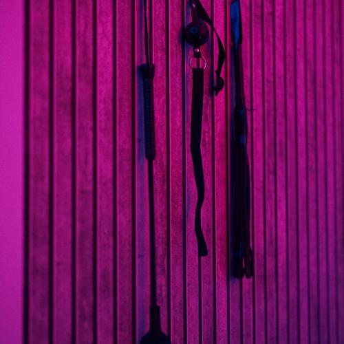 New Paradise — erotic venue in Crissier
