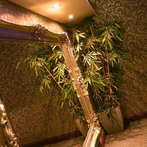 Blue Velvet — erotic venue in Newcastle upon Tyne