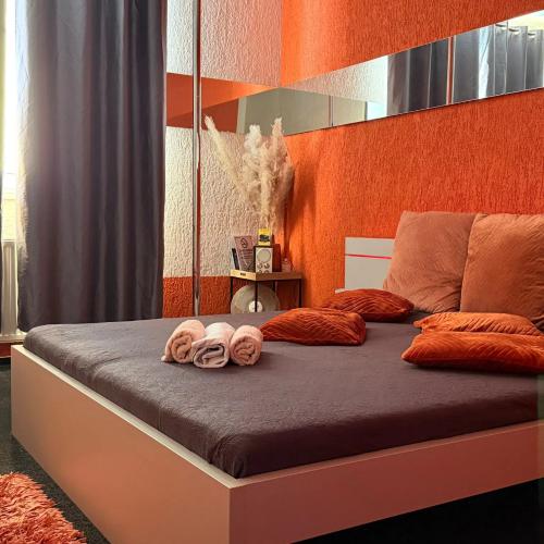 Night Club Euphoria — erotic venue in Ostrava