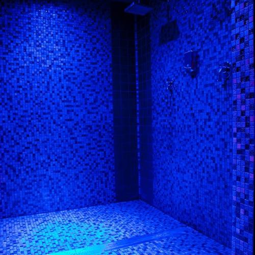 Olimpo Therme — erotic venue in Rome, photo 7