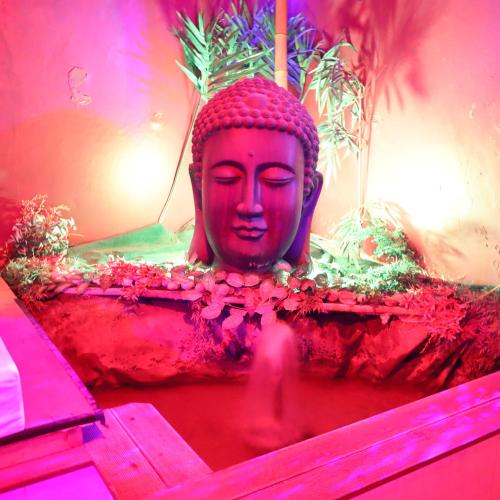 Le Lotus — locale erotico a Reims