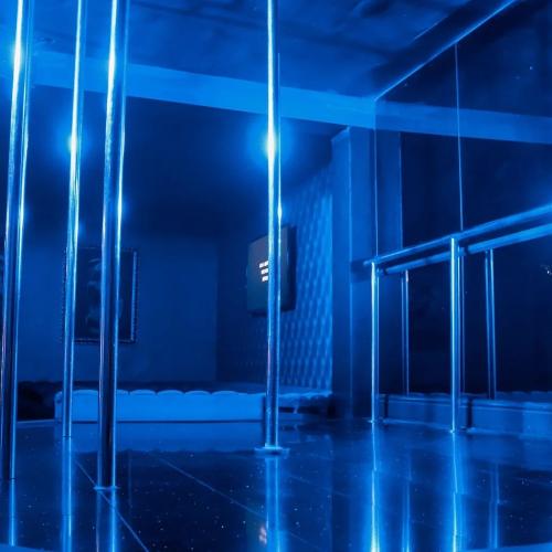 Blue Velvet — erotic venue in Newcastle upon Tyne