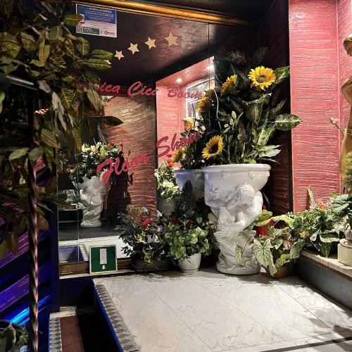 Cica Cica Boom — erotic venue in Rome