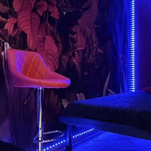 Pussycat — erotic venue in Frankfurt, photo 8