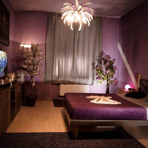 Haus Kitty — erotic venue in Essen, photo 3