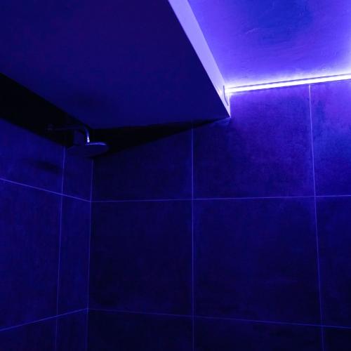Club 369 Milano — erotic venue in Carnate
