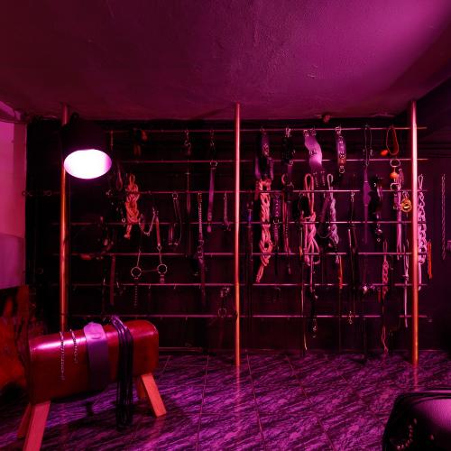 Studio Donna Fiera — erotický podnik v Arnhem