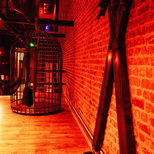 Cocoon Brussels — erotic venue in Brussels, photo 4