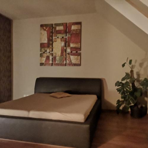 Crystal Gentlemens Club — Košice şehrinde erotik mekan