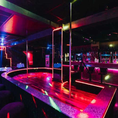 Amnesia Antwerp — erotický podnik v Antverpy, foto 2