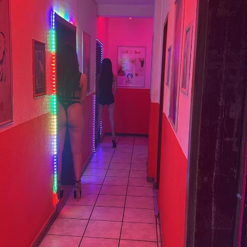 Haus 29 — erotic venue in Frankfurt, photo 3