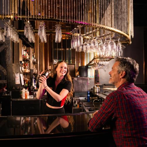 The Ritz Houston — erotický podnik v Houston, foto 6