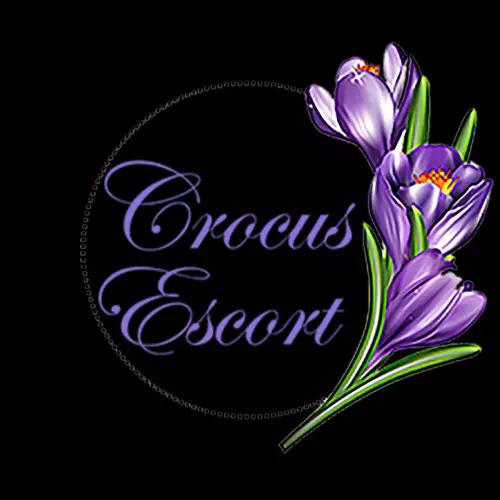 Crocus-Escort