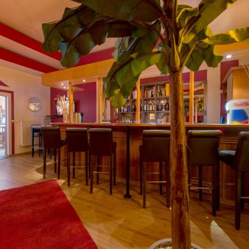 Bahama Club — erotický podnik v Maintal