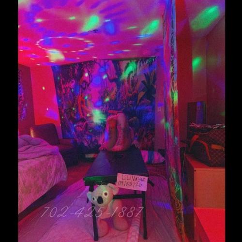 Malone Dmv — eskort v meste Orlando