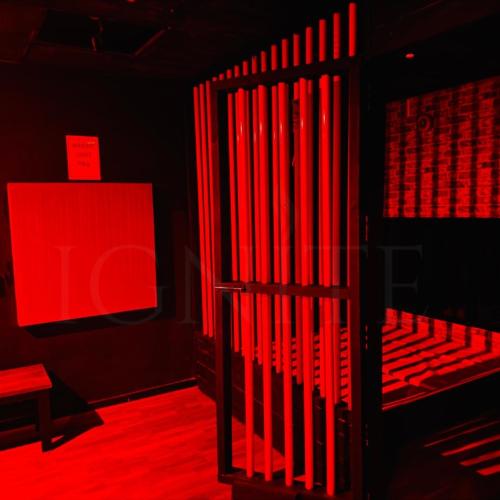 Ignite — erotic venue in London
