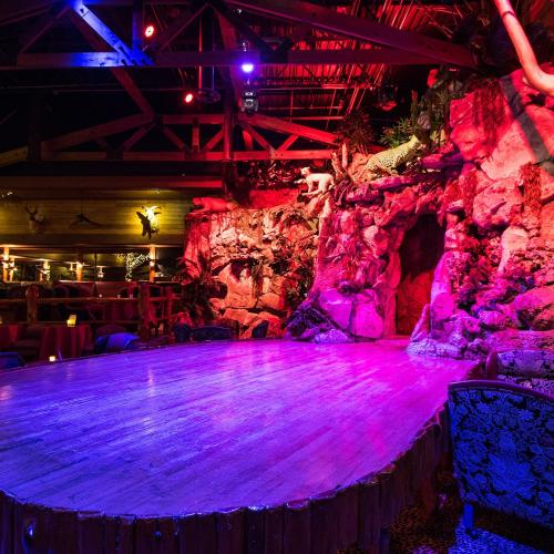 The Lodge — erotic venue in Dallas, photo 2
