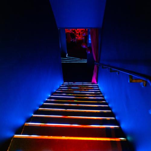 Red Rabbit Night Club — erotický podnik v meste Vroclav