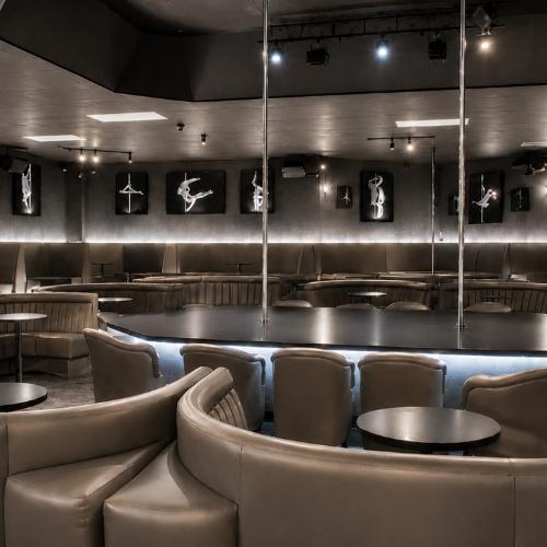 Platinum Showgirls La — erotic venue in Los Angeles, photo 6