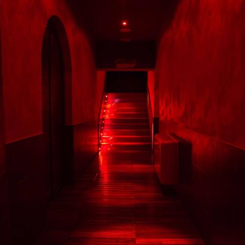 Olimpo Therme — erotic venue in Rome, photo 9