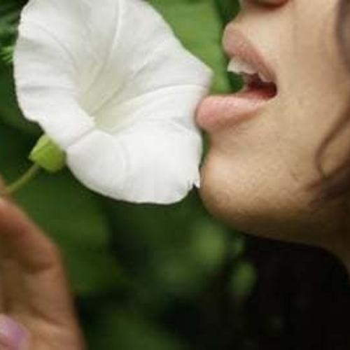 Experience River — escort in New York City
