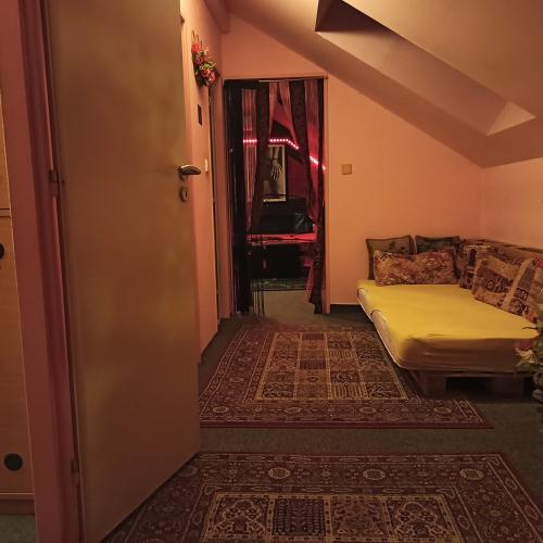 Swingers Extasy — lokal erotyczny w Brno, zdjęcie 11