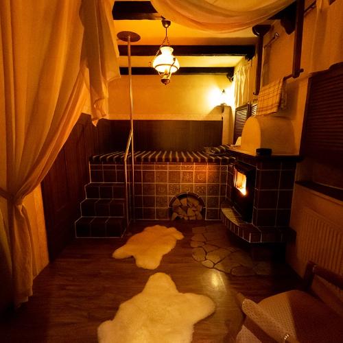 Lady Marion Brno — erotic venue in Brno