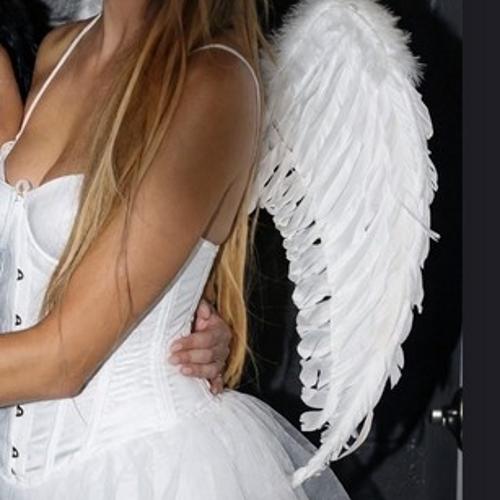 Dollhouse — escort in Santa Rosa
