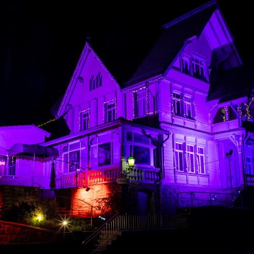 Vip Bar — erotic venue in Zug