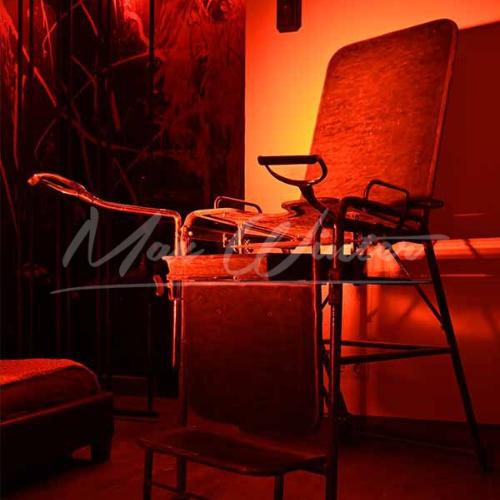 Laufhaus Max Winter — erotic venue in Vienna, photo 6