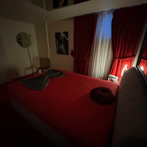 Red Carpet — erotic venue in Basel, photo 8