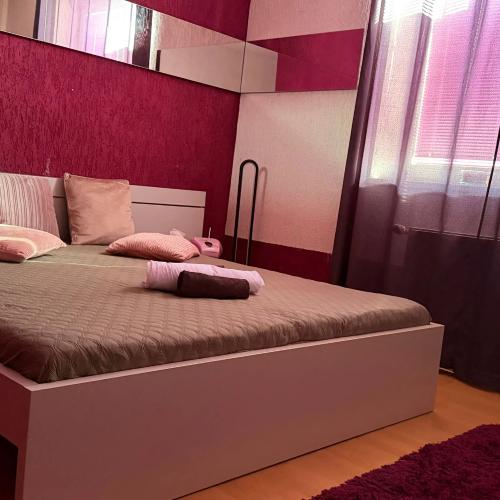 Night Club Euphoria — erotic venue in Ostrava