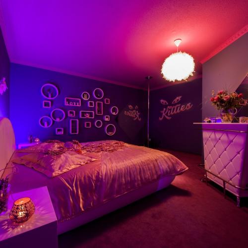 Kitties Suite — lokal erotyczny w Mannheim, zdjęcie 7