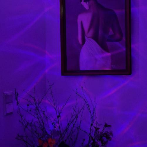 Velvet — erotic venue in Szczecin