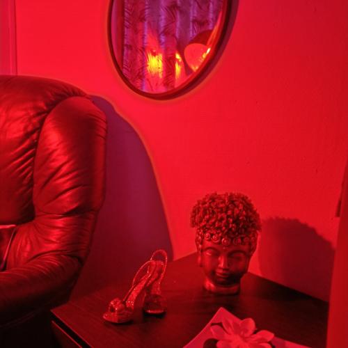 Nuit De Lune — erotisk utested i Zaventem