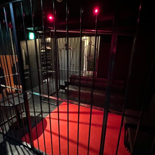 Sm Bar Mirage Tokyo — erotic venue in Tokyo, photo 9