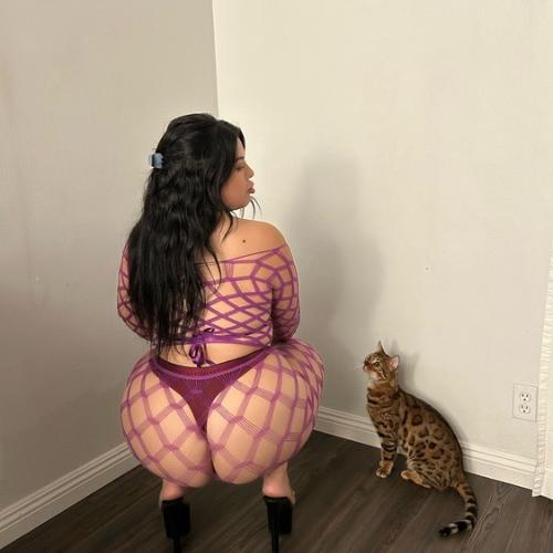 Ashley — escort in North Bay