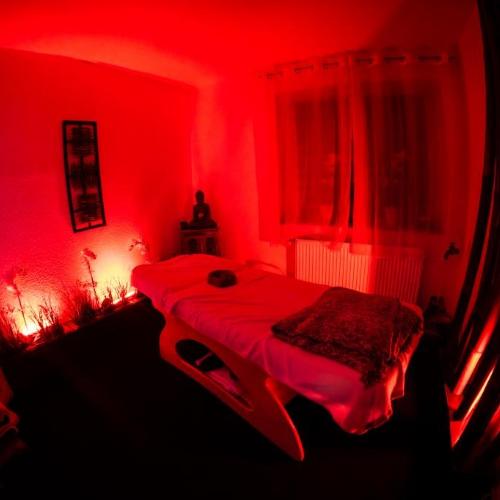 Palais Cataleya — erotic venue in Essen, photo 13