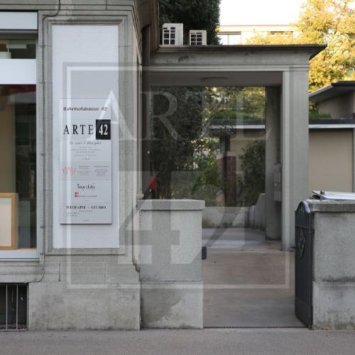 Arte 42 — local erotic în Zürich, fotografia 8