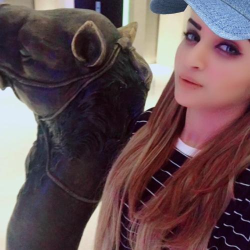 Indian Escorts in Dubai 	+971526312337